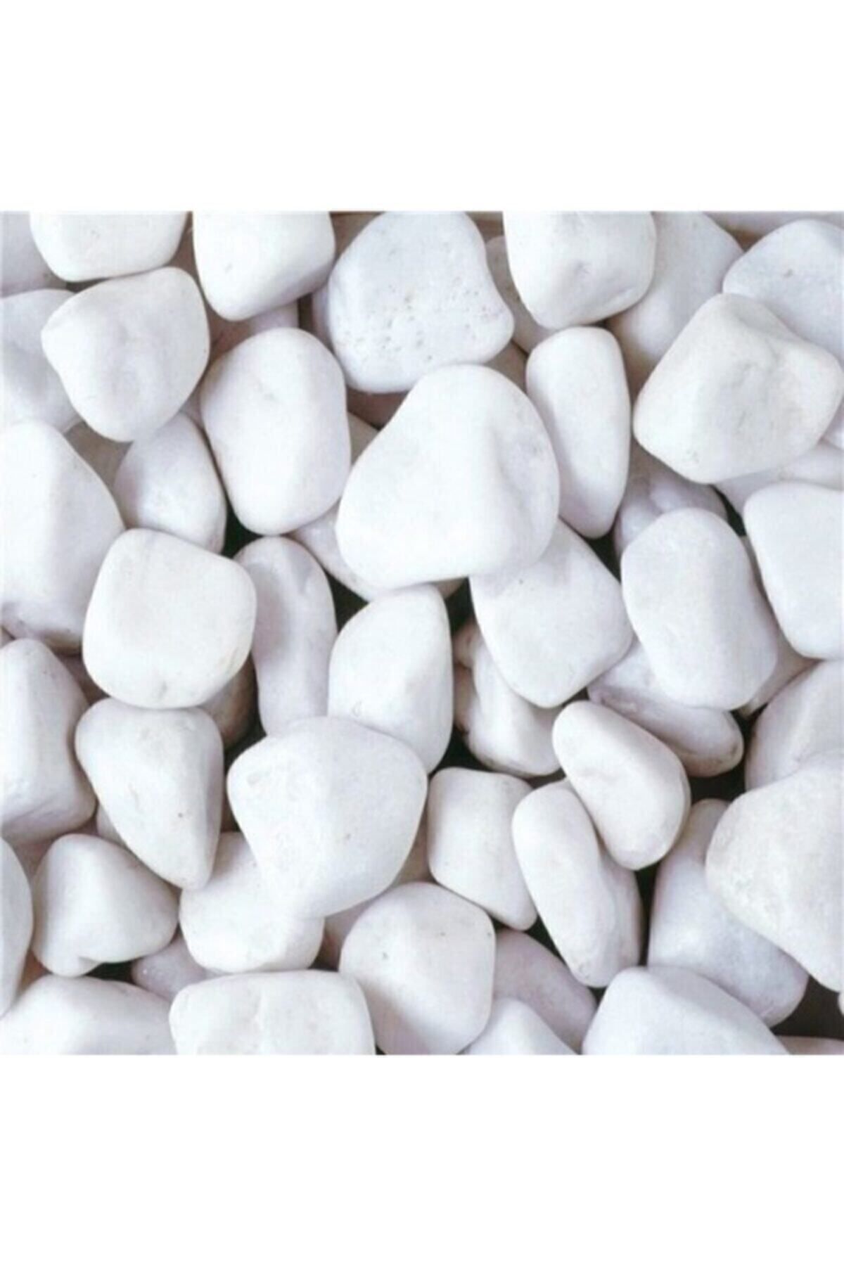 Beyaz Dolomit Taş 5 Kg 2-4 Cm Dere Çakıl Taşı Bahçe Süs Taşı Saksı Teraryum Taşı Akvaryum 20no. 4-5